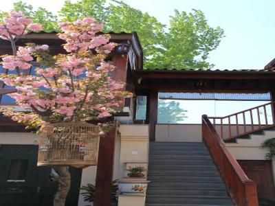 Jingshan Garden - 8