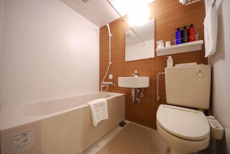 Sotetsu Fresa Inn Tokyo-Kyobashi - 17