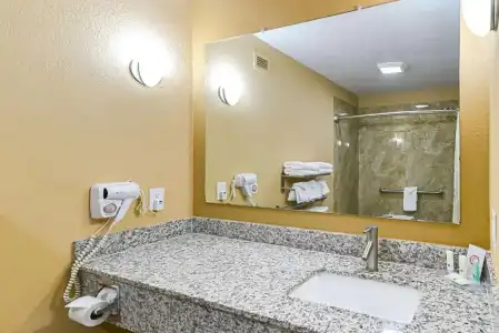 Quality Inn & Suites Lubbock South - 53