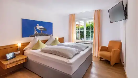 Bodensee Storchen - 105