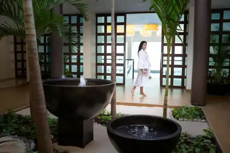 El Dorado Seaside Palms A Spa Resort - 33