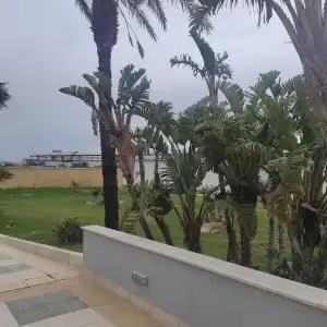 Best Western Nettuno - 32