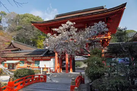 Sotetsu Fresa Inn Kyoto Shijokarasuma - 21