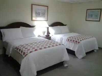 Micro Condo Suites - 1