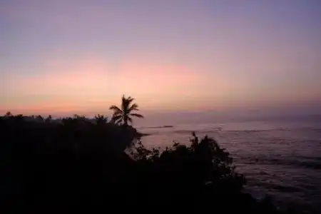 Jayanthi Surf Dreams - 4
