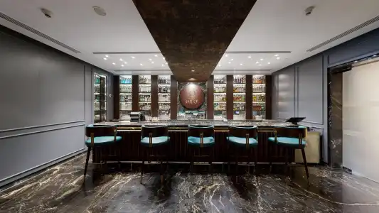 Radisson Blu Marina Connaught Place - 25