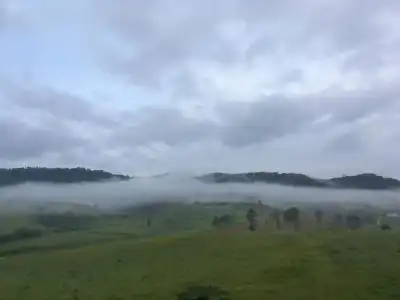 Forest Hill1 Khao Kho - 13