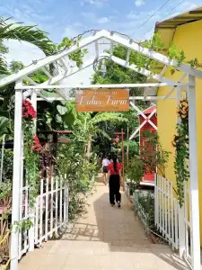 Hue Lotus Homestay - 69