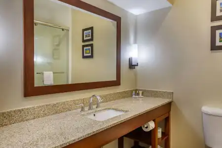 Comfort Suites Raleigh Walnut Creek - 7