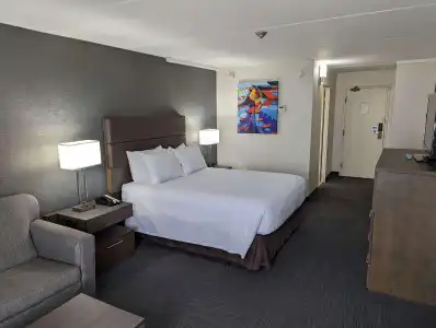 Best Western Plus Toronto Airport - 4