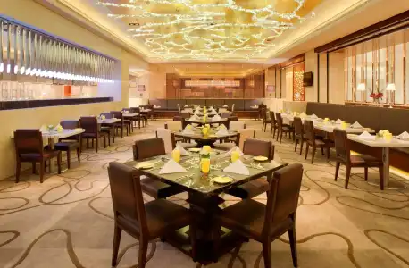 Radisson Blu Plaza Chongqing - 17