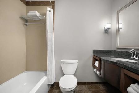 Holiday Inn & Suites Durango Downtown by IHG - 65