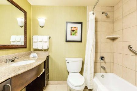 Hilton Garden Inn St. George - 66