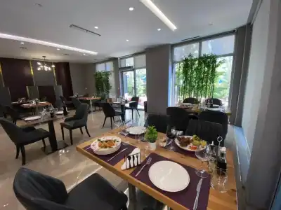 Doanesia Premium And Spa Tirana - 21