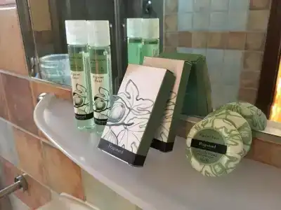 Il Nuovo Gabbiano - 7