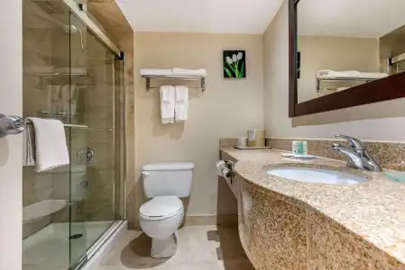 Quality Inn & Suites - 8