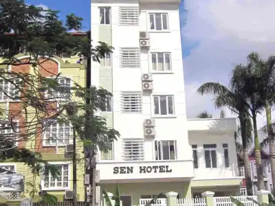 Sen Hai Phong - 4