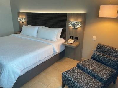 Holiday Inn Express Mérida - 73