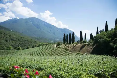 Agritur Casteller - 69
