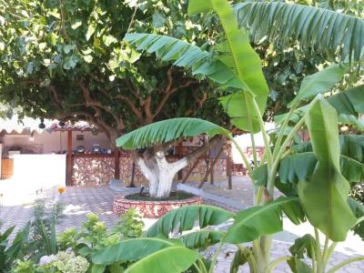 Yard Paradise - 13