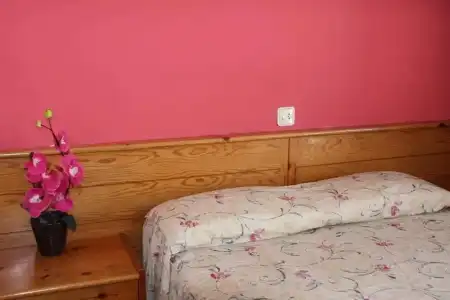 Hostal Magnolia - 31