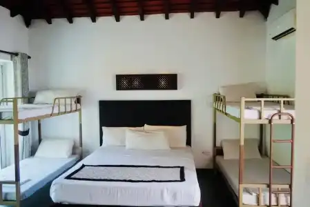 Amaluna Resorts - 29