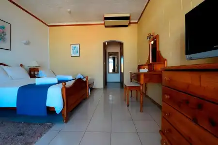 Cornucopia - 6