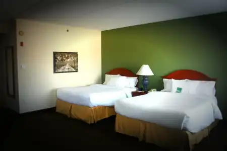 Hilton Garden Inn Green Bay - 5