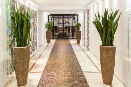 Ayun by Centro Comfort - 15