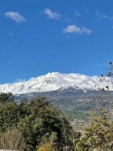 Oasi Park - 12