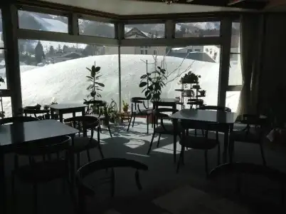 Hakuba Alpine - 25