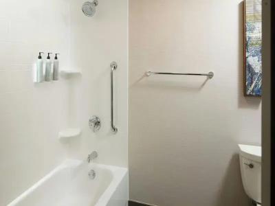 Courtyard Williamsburg Busch Gardens Area - 51