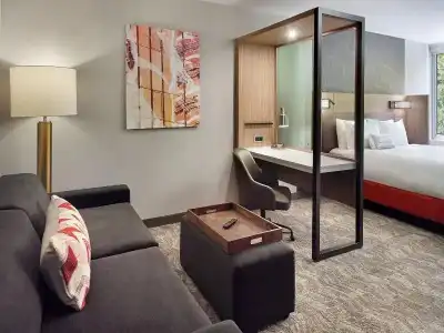SpringHill Suites by Marriott Atlanta Northwest - 38