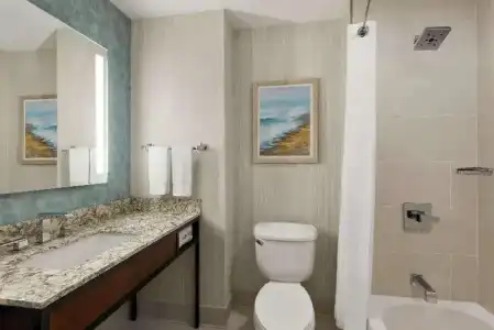 Hilton Garden Inn Carlsbad Beach - 99