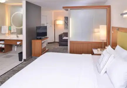 SpringHill Suites by Marriott Las Vegas Henderson - 4
