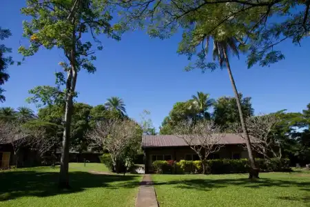 Tanoa Skylodge - 30