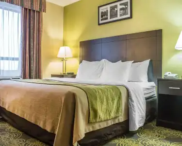 Comfort & Suites - 6