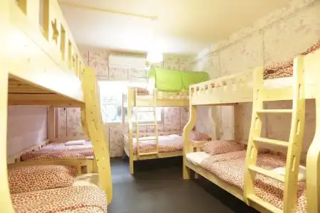 Tiger Lily Hostel - 21