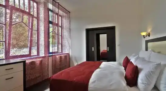 Luxury Spa & Wellness Vila Valaška - 5