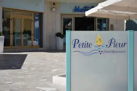 Petite Fleur - 24