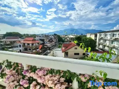 Bed and Terrace Guesthouse - 142
