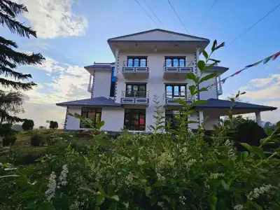 Hill Crown - 14