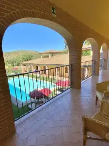 Le Querciolaie dei Ricci - 2