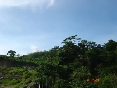 Patong Lamai Residence - 49