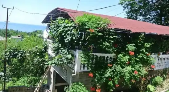 Badu Guest House - 1
