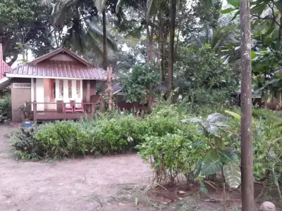 Phayam Coconut Beach Resort - 12