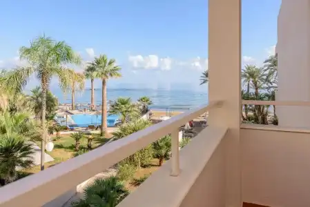 Zeuss Palm Beach - 57