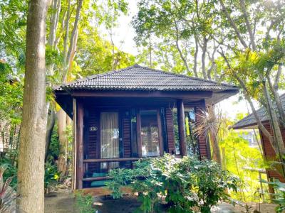 High Life Bungalow - 30