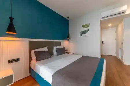 Tema 242 - 60