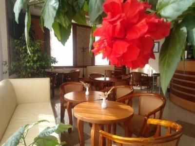 Spa Holiday - 14